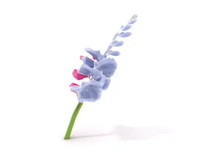 Pink Gladiolus Flower model pack Low-poly 3D model