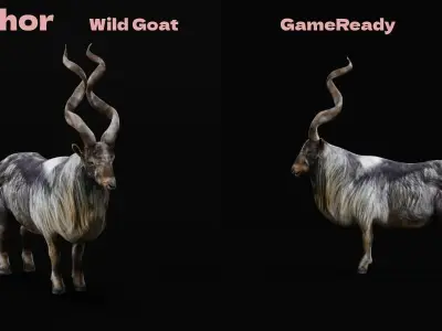 Markhor Wild Goat Low-poly 3D model