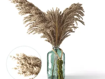 Pampas Flowers Vase 3D model