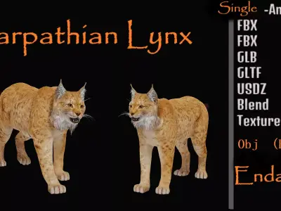 Carpathian Lynx Low-poly 3D model