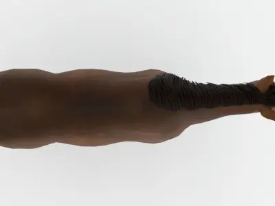 Lowpoly brown Horse Low-poly 3D model