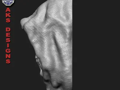 Wall home decor Reaper skull v174 3D print model