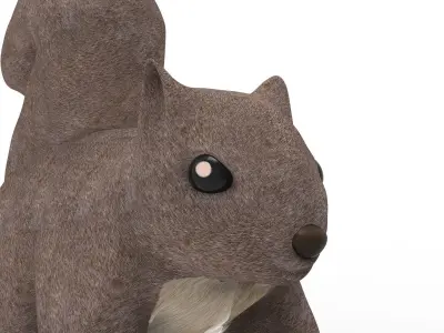 Squirrel 3D model get