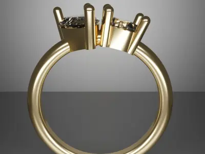 Toi et Moi Ring 3D print model