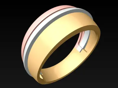 Ring N116300 3D print model