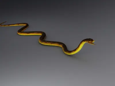 Snake Rig 3D model purchase