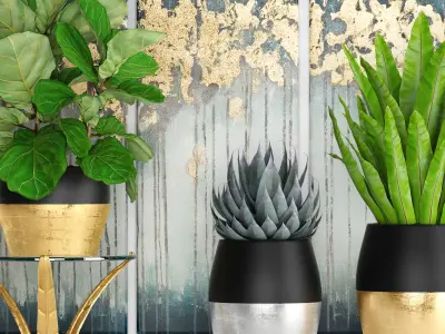 collection luxury plants 3D model