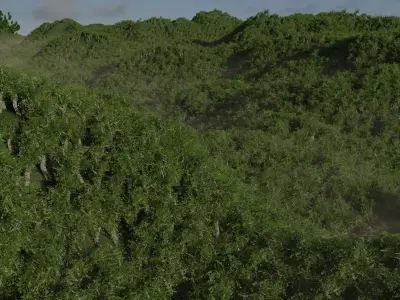 forest Free low-poly 3D model
