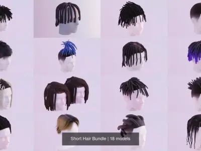 Short Hair Bundle 3D Model Collection
