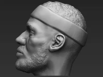Lebron James standard version only mesh 3D model