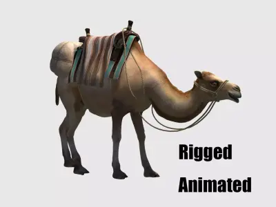 camel luggage animation  3D model