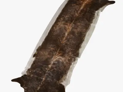 Super Long Stretched Cowhide Rug 3D model