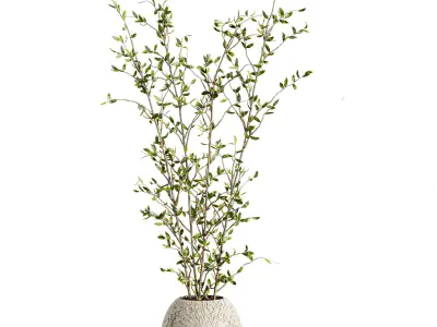 Plants Set 3D model purchase