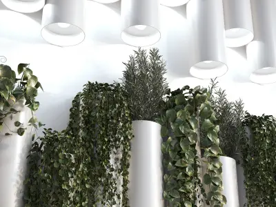 Decorative Plant Cylinders 3D model