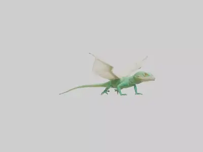 Draco Lizard gliding model Low-poly 3D model