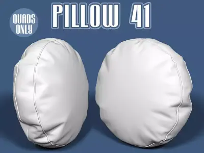 Pillow 41 3D model