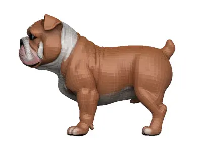 Bulldog Low-poly 3D model buy