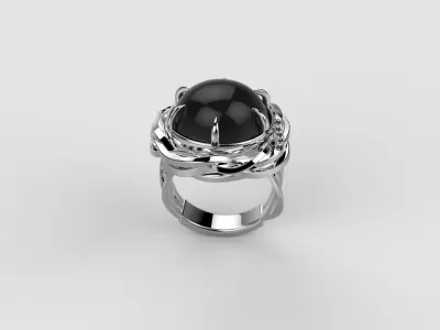 RING PdC N3 3D print model