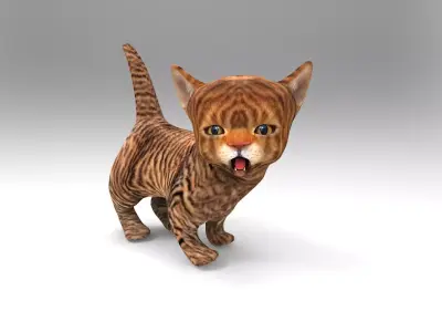 Wild Cute cartoon Cat Rigged 3D  Low-poly 3D model
