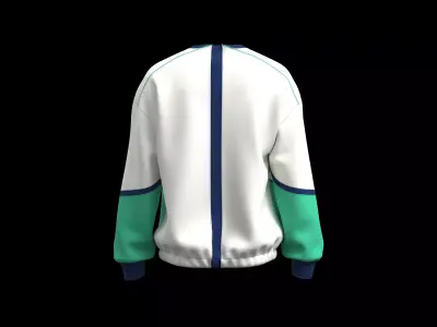 Mens sport sweatshirt with elastic and graphic 3D model