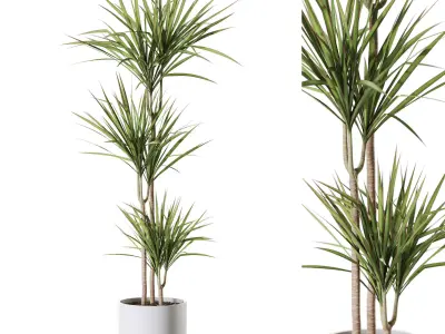 Plants collection vol 58