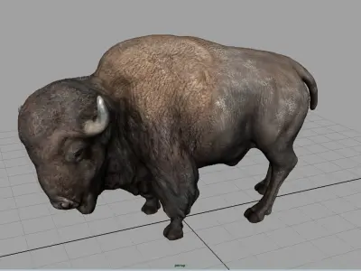 American bison Low-poly 3D model