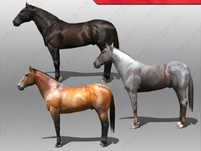 Horse Animated Low-poly 3D model order
