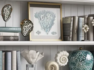 Decor Set 7 shelf with seashells and books 3D model