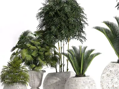 Plants 289 3D model