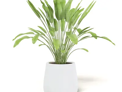 Plant 3D Model in White Pot 3D model