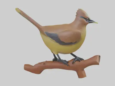 Cedar Waxwing statue model 3D model