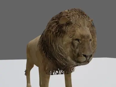 Lion - Leao Low-poly 3D model