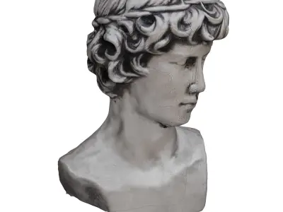 head sculpt Free low-poly 3D model