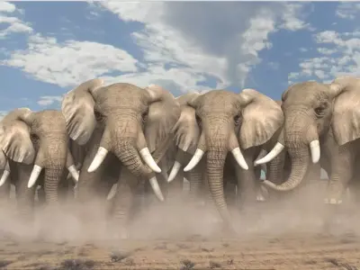 Elephant  Animation Low-poly 3D model