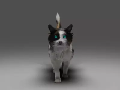 Fur Calico Cat No Rigged Low-poly 3D model