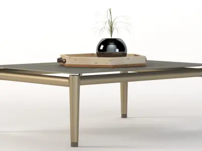 Conic Coffee Table with Centerpiece 3D model