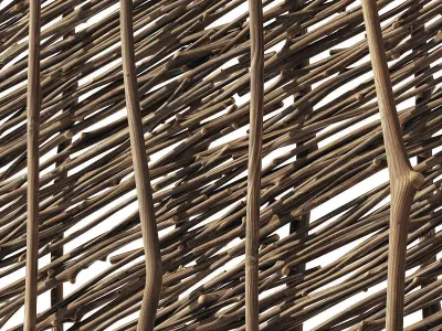 Ceiling wicker branch crooked 3D model