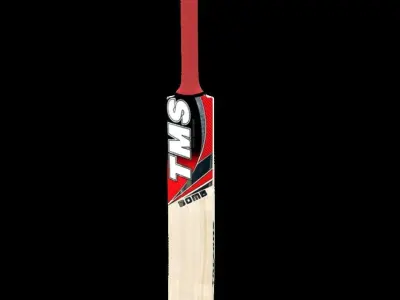 Cricket Bat 3D model