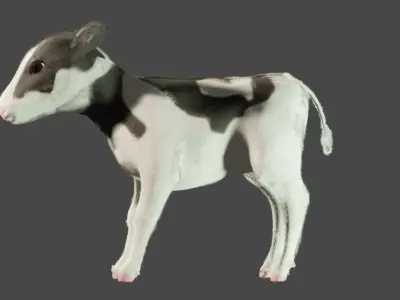 calf cow baby Low-poly 3D model