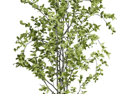 branch Tree in a concrete dirty vase set indoor plant 392 Low-poly 3D model