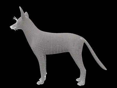 Realistic jackal animal 3d model  3D model