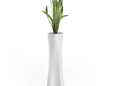 3D Plants IV CGAxis Models Volume 60 C4D 3D model