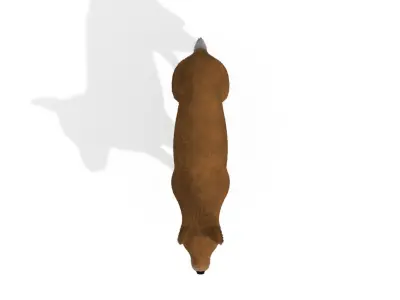 3D Dog Dingo Australian Animal 3D model