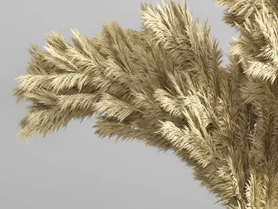 Pampas vase 04 3D model