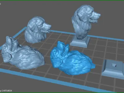 Bernese Mountain Dog 3D print model