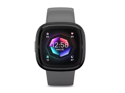 Fitbit Sense 2 Shadow Grey 3D model