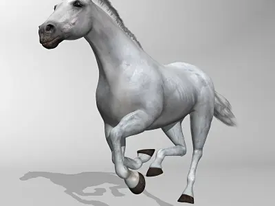 Horse - White 3D model