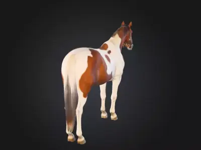 Painted Grace Horse Low-poly 3D model