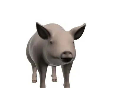 Realistic Pig 001 3D model