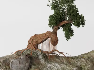 Japan bonsai 3D model